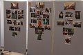 IMG_4527